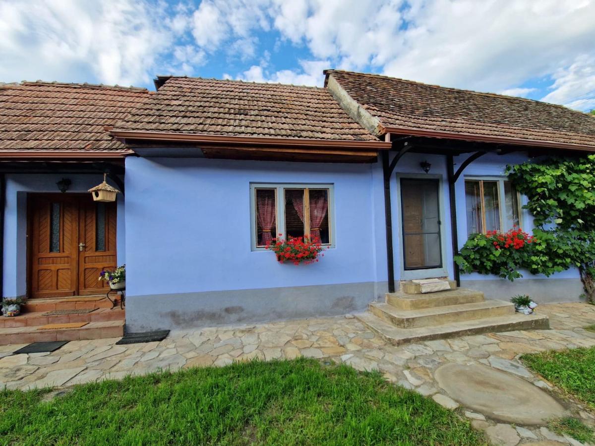 Floresti House 21 Roandola 外观 照片