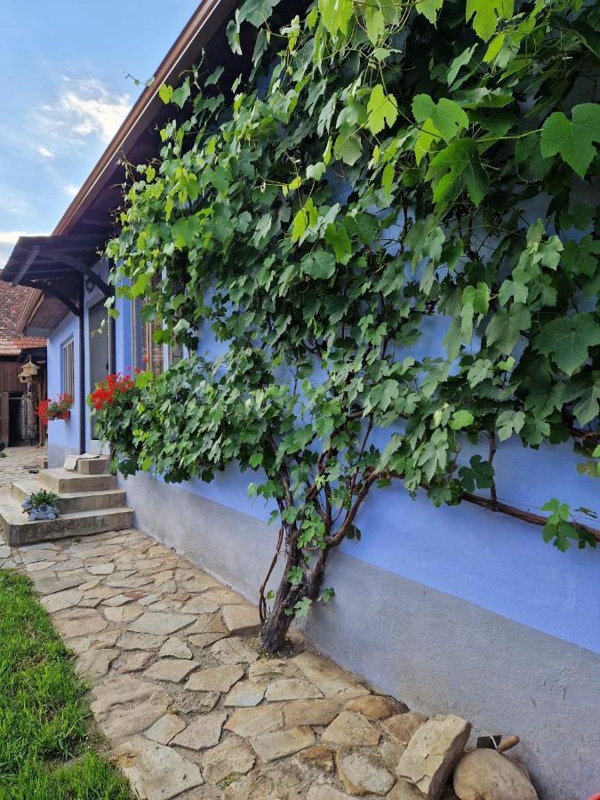 Floresti House 21 Roandola 外观 照片